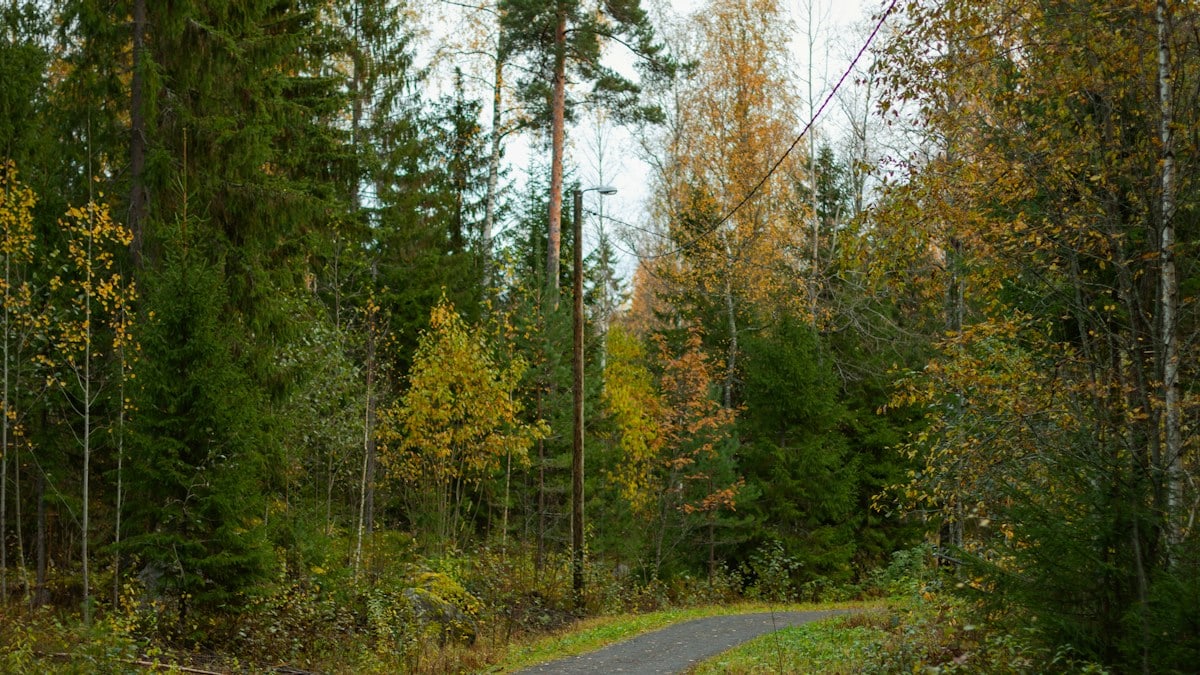 Tasakaalustatud toitumise alused