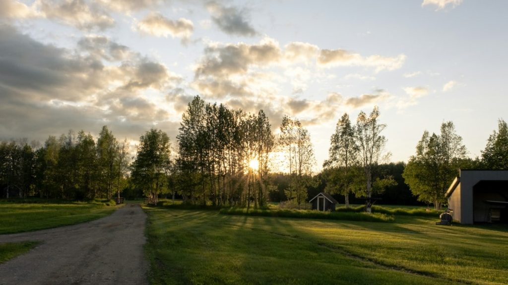 green grass field near trees under cloudy sky during daytime